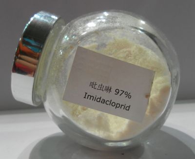 97%吡蟲啉原藥